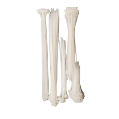 Colliers de serrage nylon - kit de 250 pièces